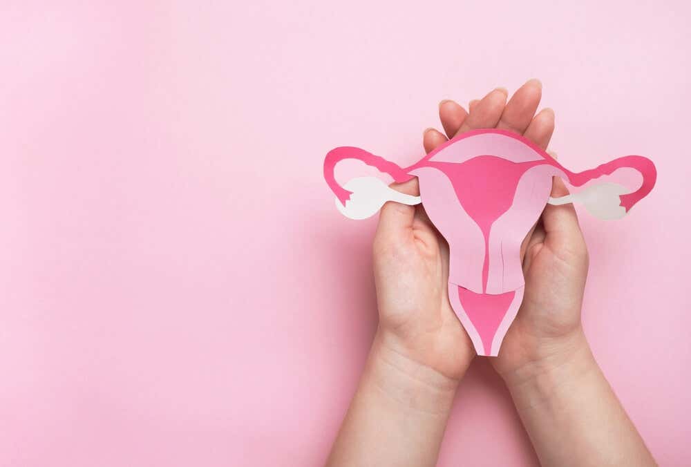 6 hormonas más importantes que influyen al ciclo de la ovulación