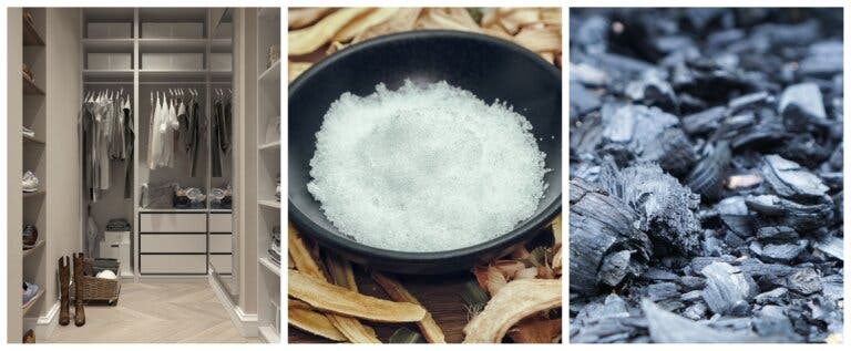 ¿Cómo eliminar malos olores en lugares cerrados con estos 2 ingredientes?