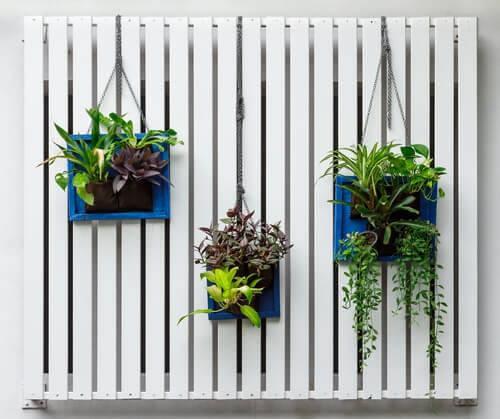 Es posible realizar un jardín vertical de manera sencilla.