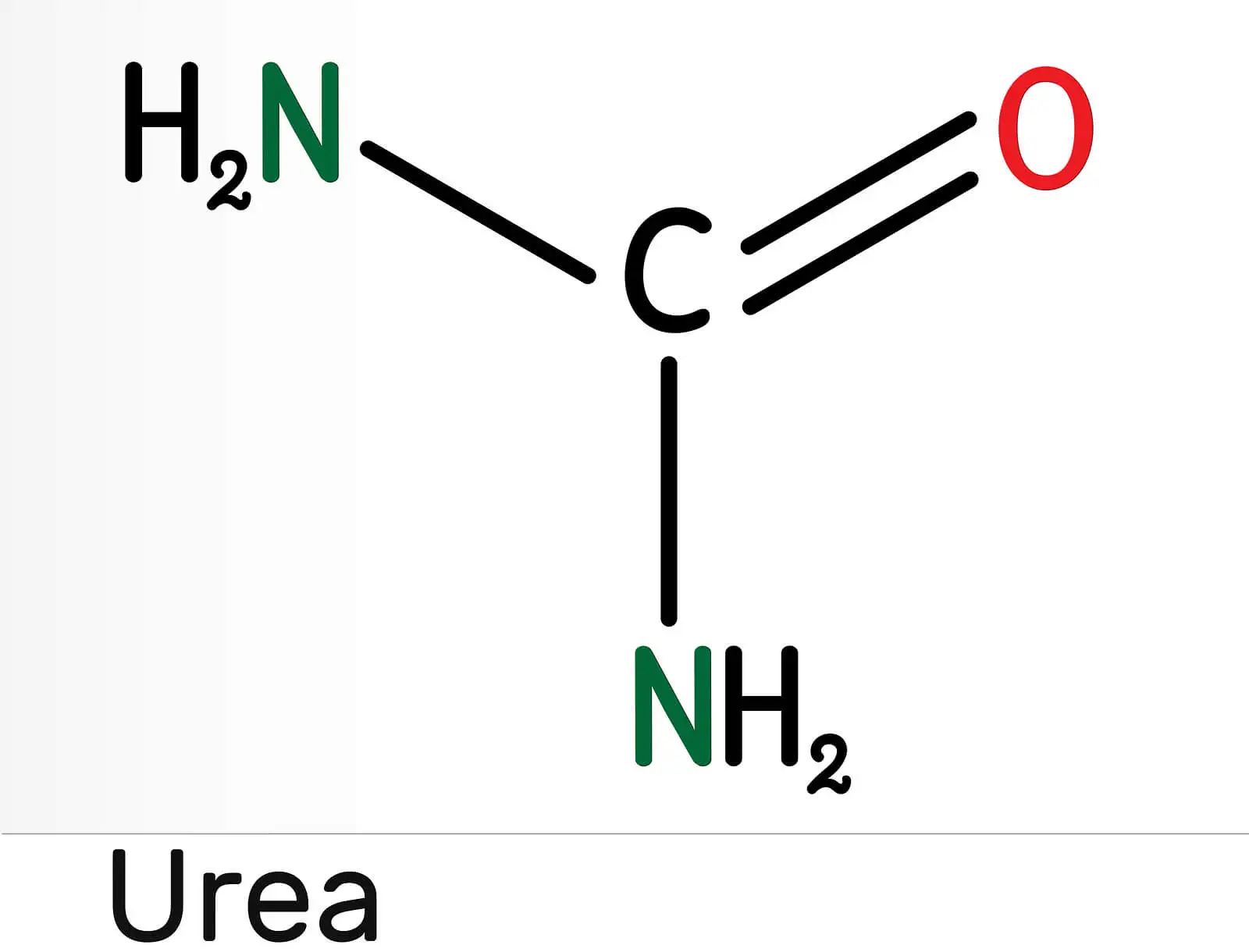 Molécules et urée.