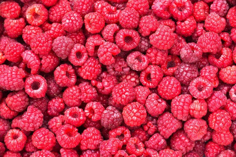 Frambuesas: descubre cómo usarlas en tu dieta