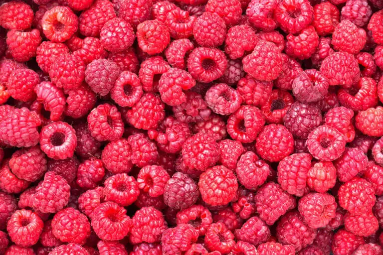 Frambuesas: descubre cómo usarlas en tu dieta
