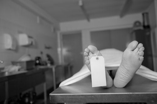¿Qué es el rigor mortis?