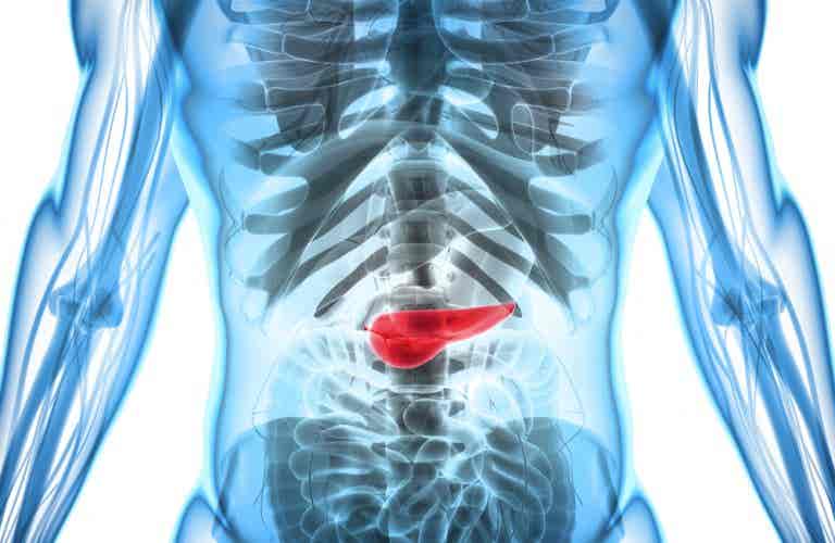 El diagnóstico del cáncer de páncreas