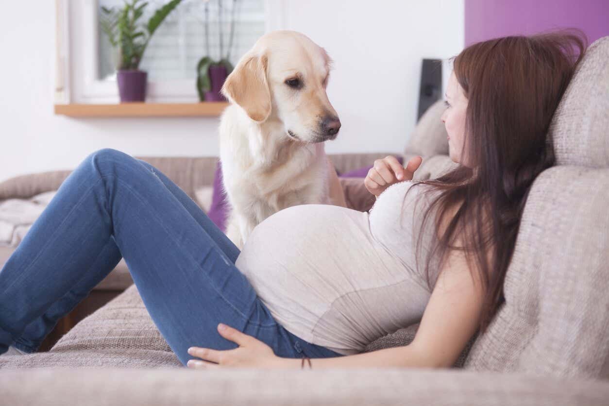 Mujer embarazada con perro.
