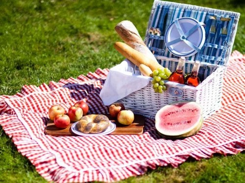 picnic-aire-libre