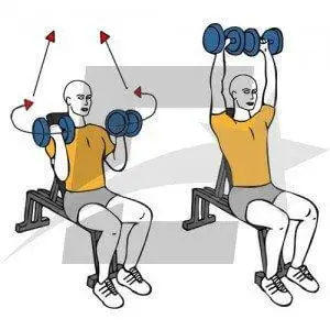 press arnold con mancuernas para fortalecer los hombros