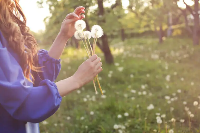 Enfermedades más comunes en primavera
