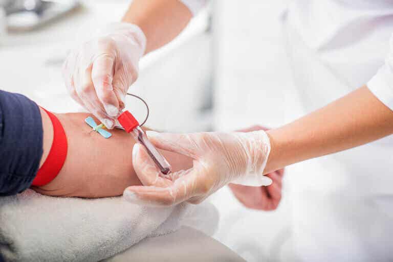 ¿Cuál es el procedimiento correcto para la extracción de sangre venosa?