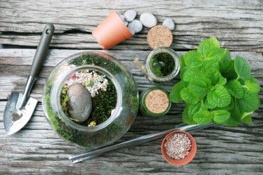 Formas de hacer terrarios para decorar el hogar