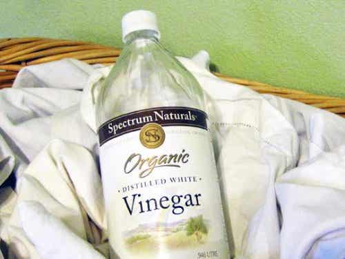 Botella de vinagre blanco