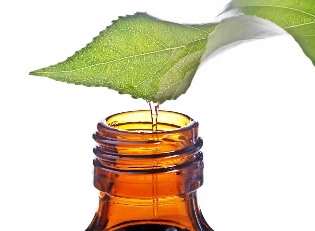 Aceite de menta
