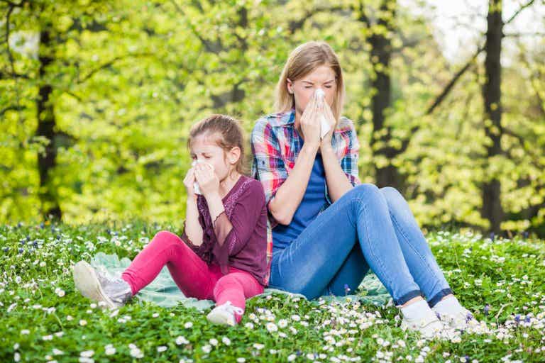 Los mejores consejos contra las alergias respiratorias