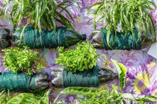 Botellas o envases de plástico que sirven para hacer macetas.