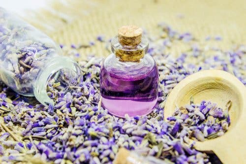 El aceite de lavanda tiene múltiples usos.