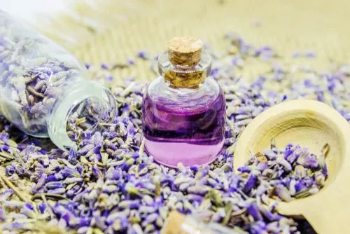 El aceite de lavanda tiene múltiples usos.