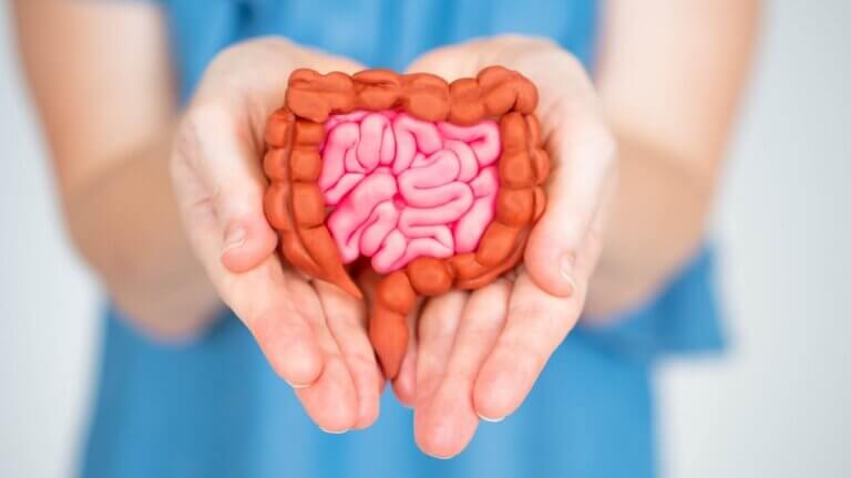 5 alimentos para repoblar la flora intestinal