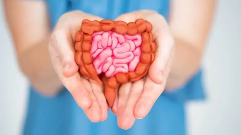 5 alimentos para repoblar la flora intestinal