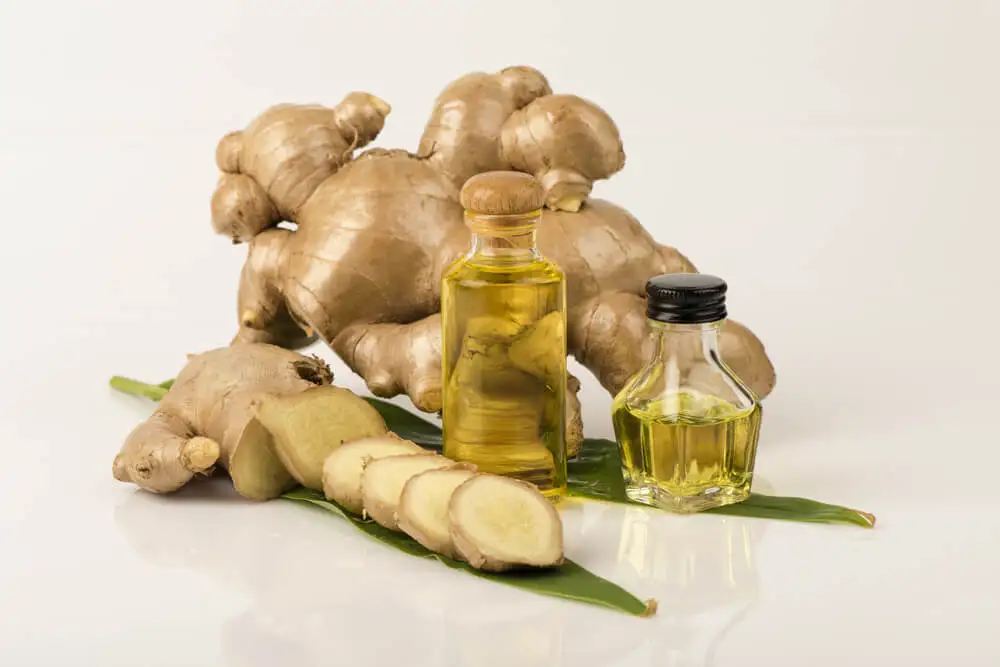 Aceite de jengibre junto a la raíz fresca.