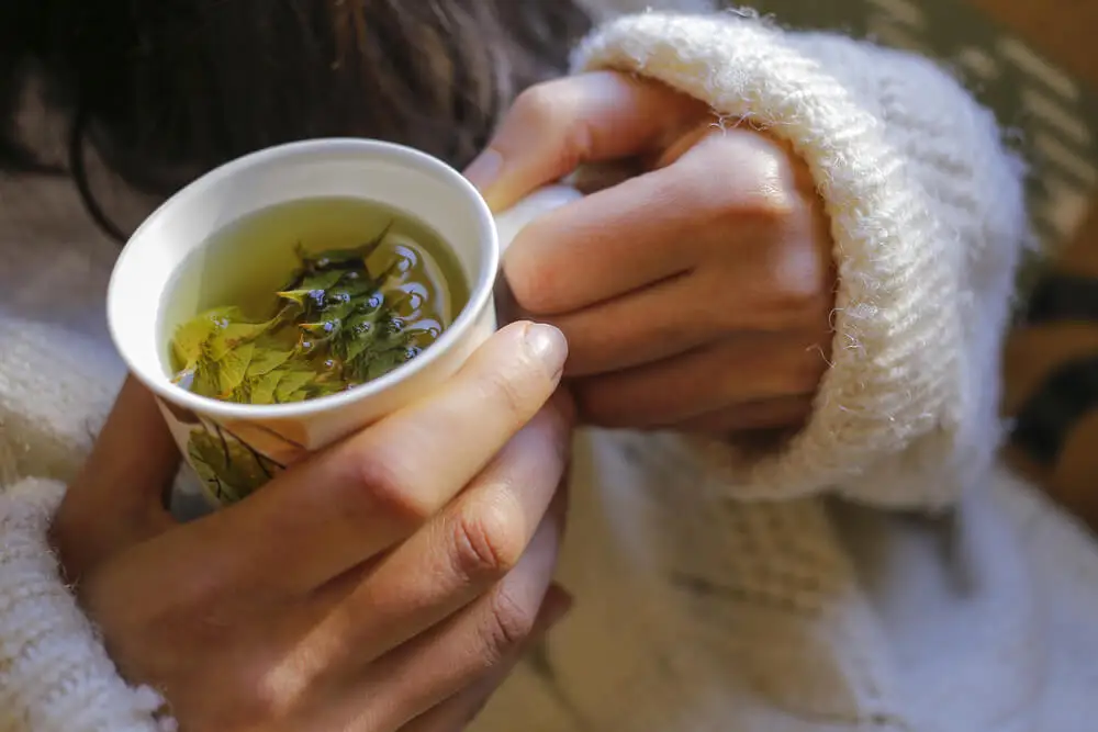 Infusión de té.