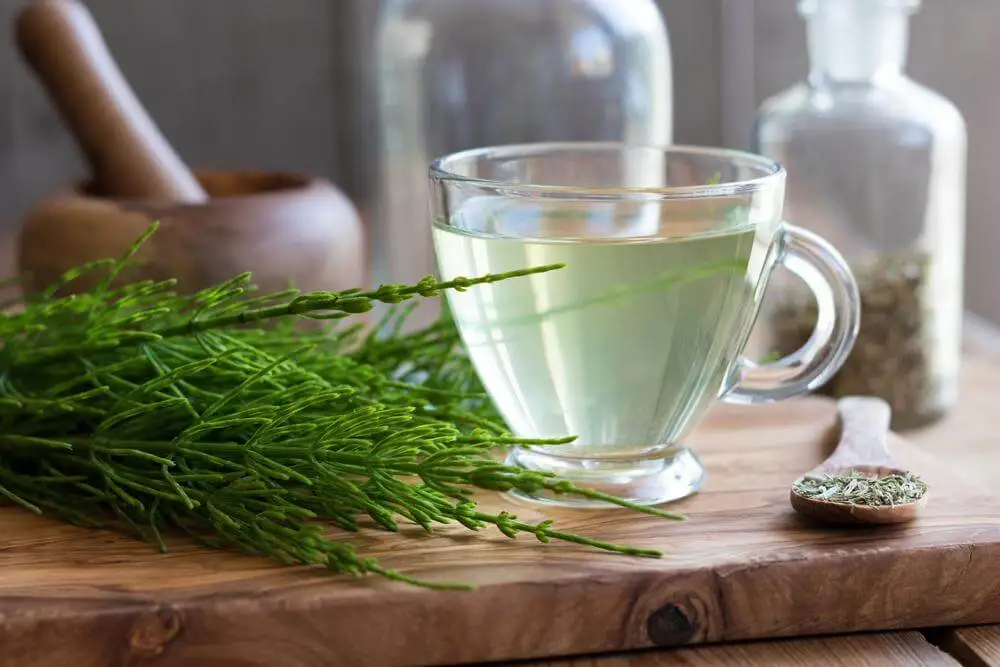 Hay ciertas infusiones que ayudan a bajar la presión alta.