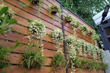 Jardín vertical: 4 formas de tener uno en casa