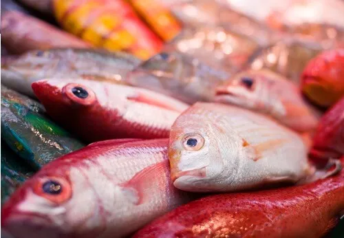 El pescado es rico en mercurio.