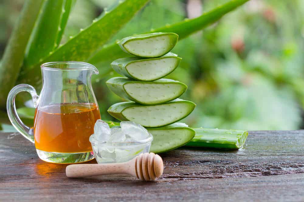 ¿cómo Preparar El Jugo De Aloe Vera En Casa Mejor Con Saludemk 1750