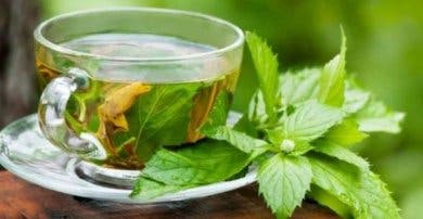3 infusiones para el colon y los intestinos