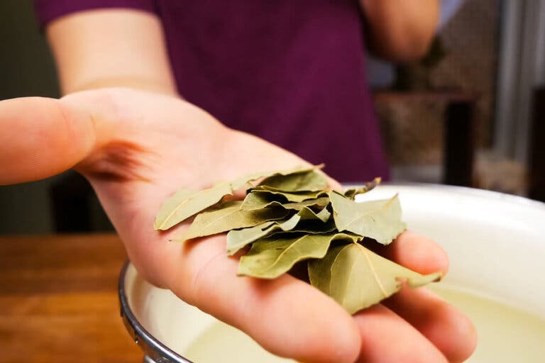 Cómo hacer remedios con laurel para mejorar tu salud respiratoria