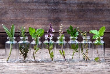 6 tipos de envases que puedes reciclar para hacer macetas