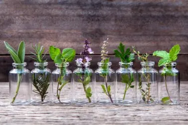 6 tipos de envases que puedes reciclar para hacer macetas
