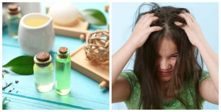 4 remedios con vinagre para combatir los piojos de manera natural