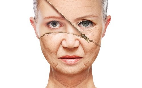Dieta para prevenir el envejecimiento, incluye los siguientes nutrientes