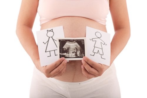 Métodos para predeterminar el sexo del bebé