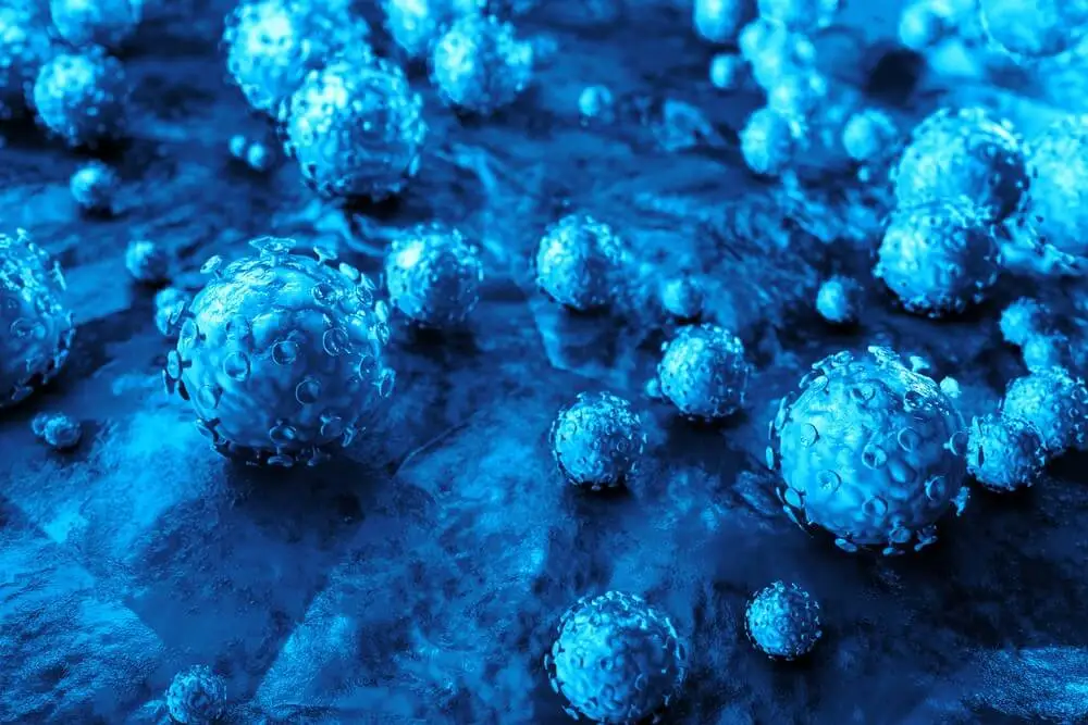 virus herpes simple en la encefalitis