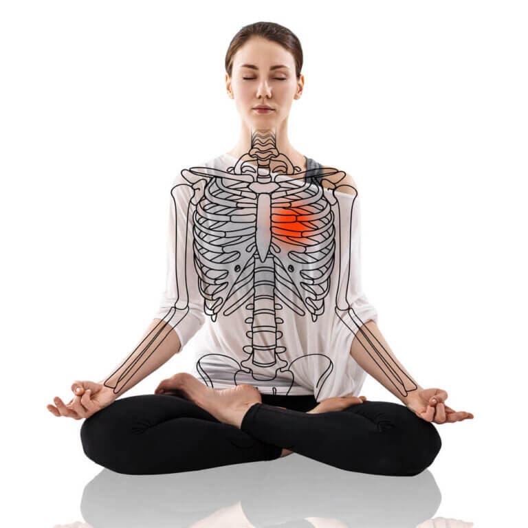 La anatomía del yoga