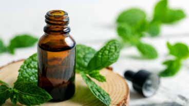 5 usos prácticos del aceite de menta que te gustará saber