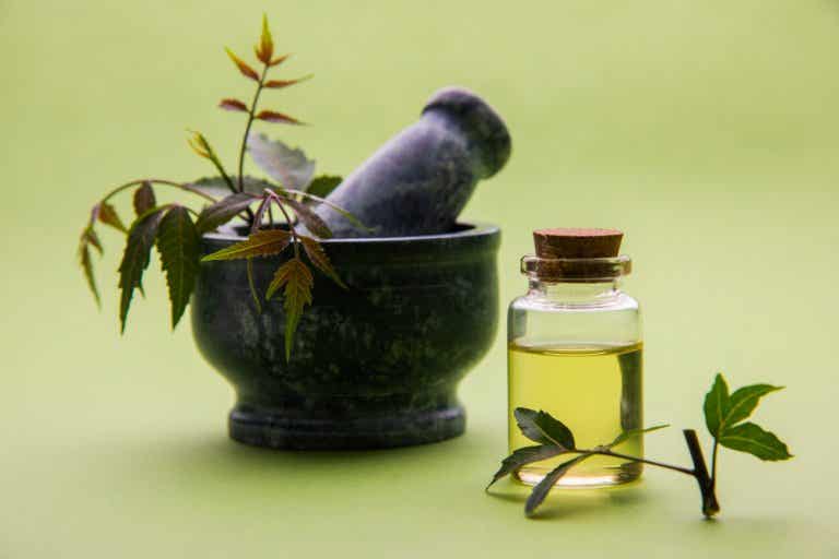 5 formas de usar aceite de nim como remedio casero