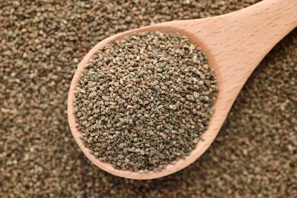 Beneficios de las semillas de apio para la salud.