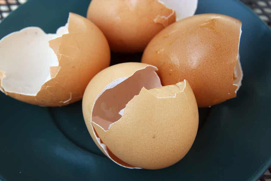 Diferentes formas de aprovechar la cáscara de huevo
