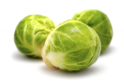 Sin-duda-si-pruebas-alguna-de-estas-recetas-seguro-repetiras.