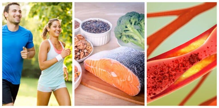 Cómo cuidar la salud arterial: 6 hábitos saludables