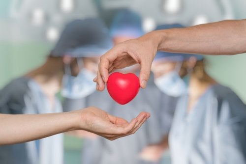 ¿En qué consiste la donación de órganos?
