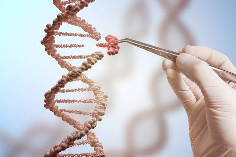 Así es como este gen puede prevenir muchos tipos de cáncer