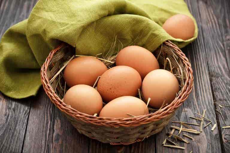 ¿Cuántos huevos debemos comer a la semana?