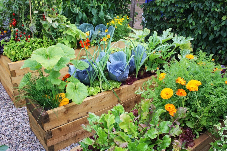 Ideas para diseñar jardines con flores
