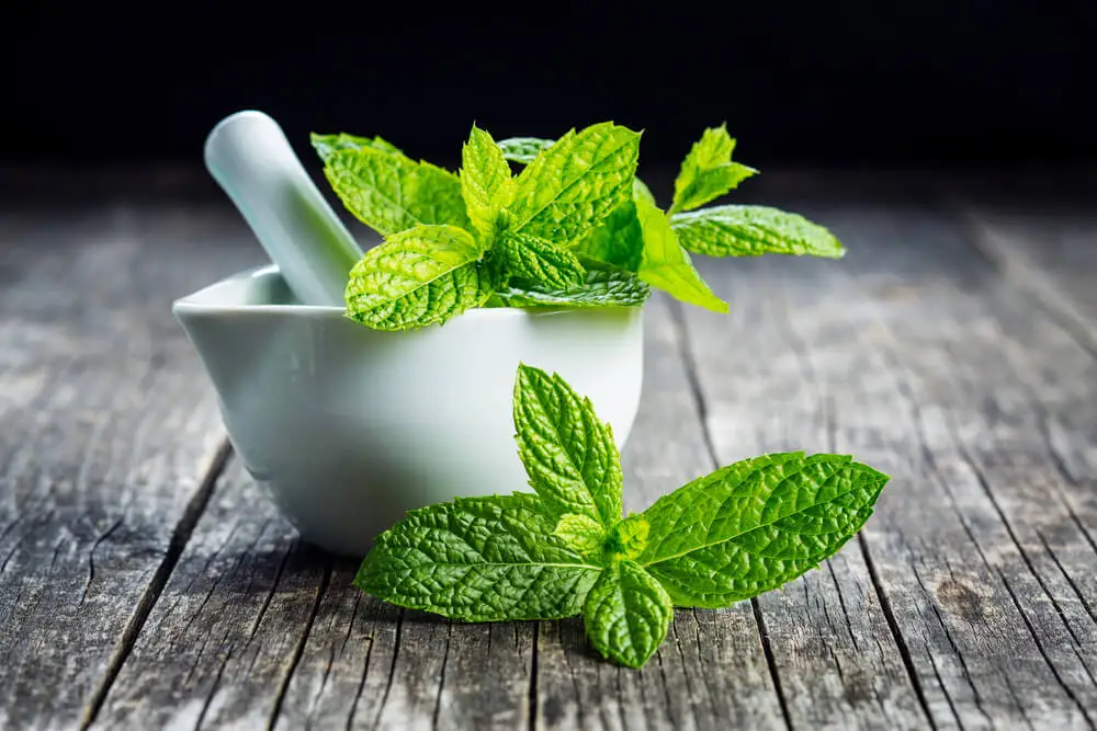 Menta para aliviar el mal aliento.