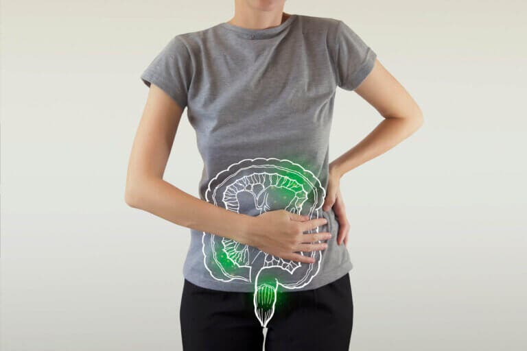 Regenerar y sanar la mucosa intestinal: 7 alimentos básicos
