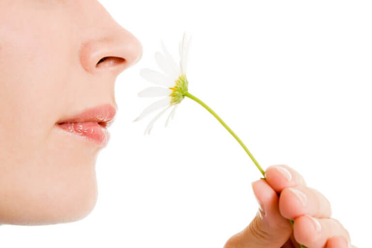 instructor Álgebra En lo que respecta a las personas Cuáles son las alteraciones del olfato más comunes? - Mejor con Salud